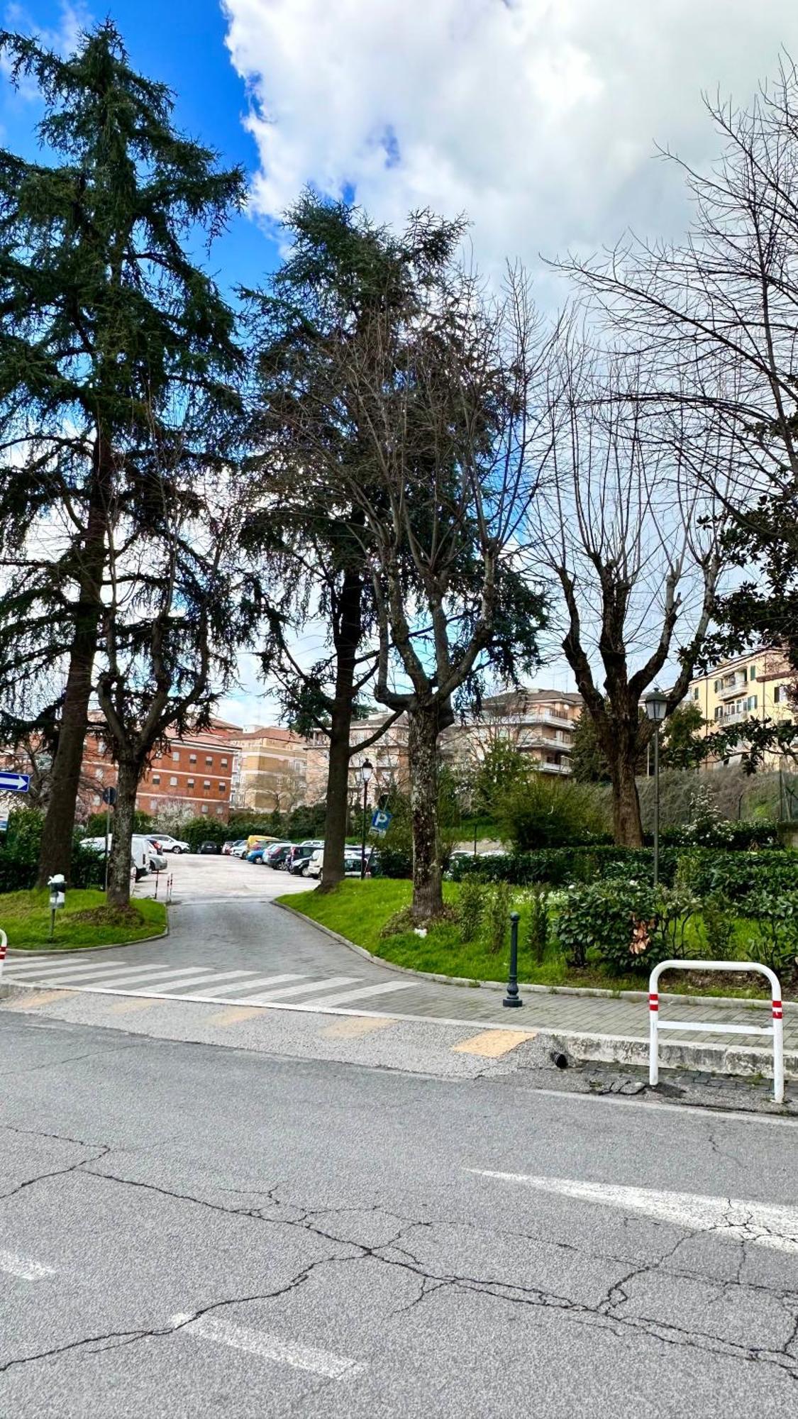 Dolce Apartments Albano Albano Laziale Bagian luar foto